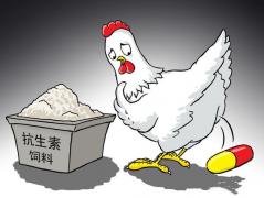 食品抗生素層出不窮，如何檢測？